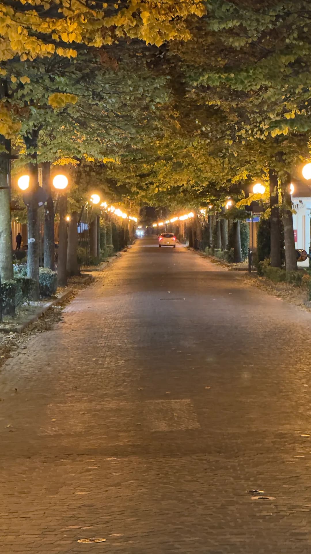 Bibione 2025, Foto 10 von 15