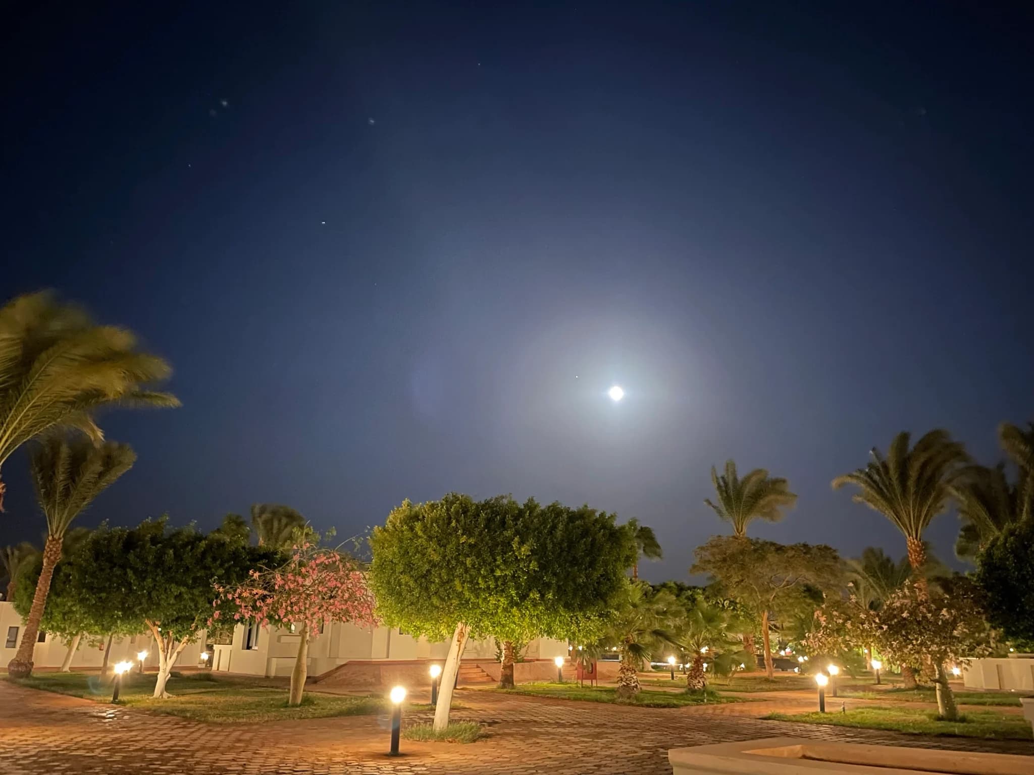 Impressionen aus dem Pharaoh Azur Resort Hurghada