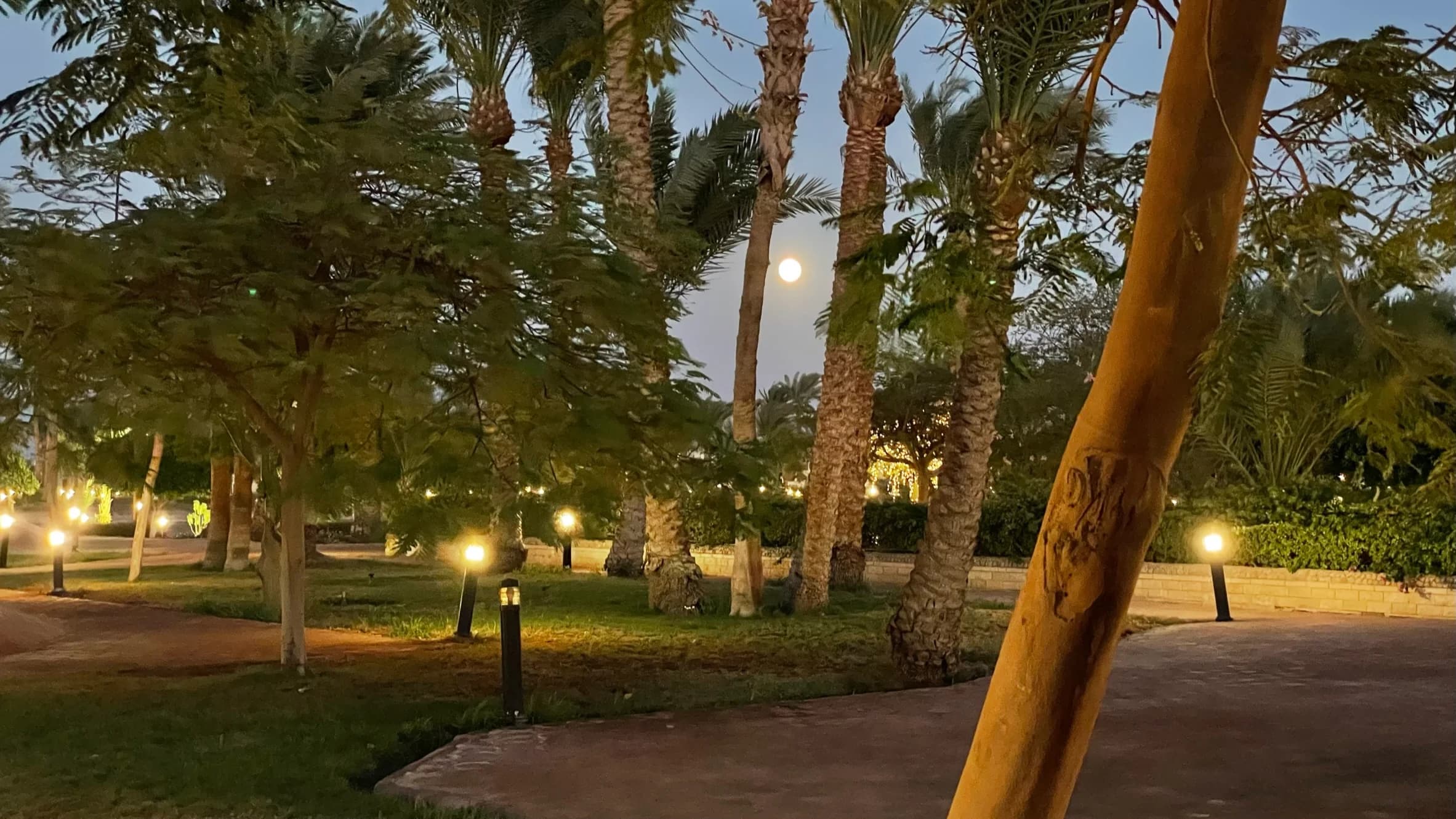 Impressionen aus dem Pharaoh Azur Resort Hurghada